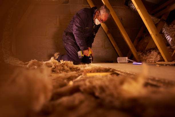 Best Cellulose Insulation in Mountain Home, NC